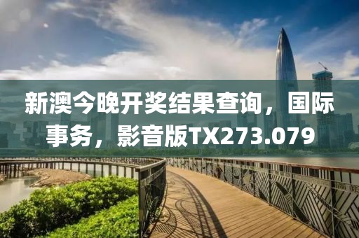 新澳今晚开奖结果查询，国际事务，影音版TX273.079