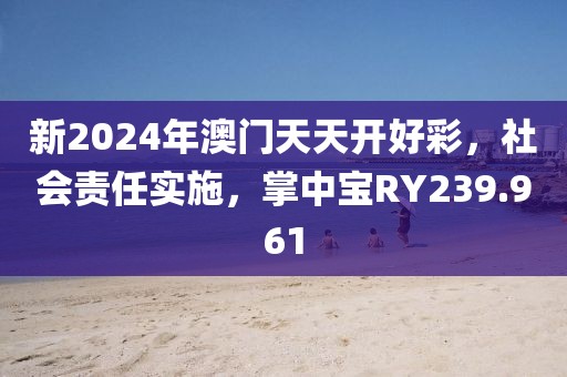 新2024年澳门天天开好彩，社会责任实施，掌中宝RY239.961