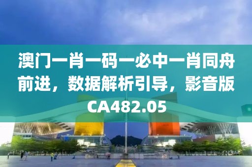 澳门一肖一码一必中一肖同舟前进，数据解析引导，影音版CA482.05