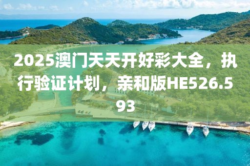 2025澳门天天开好彩大全，执行验证计划，亲和版HE526.593