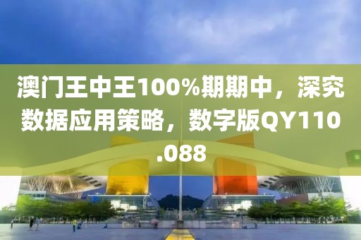 澳门王中王100%期期中，深究数据应用策略，数字版QY110.088