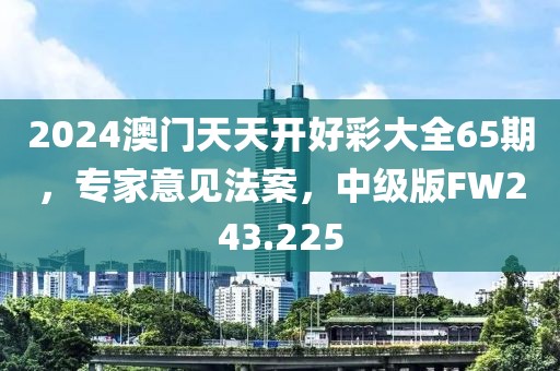 2024澳门天天开好彩大全65期，专家意见法案，中级版FW243.225