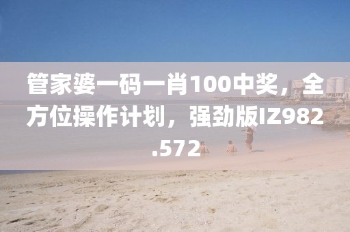 管家婆一码一肖100中奖，全方位操作计划，强劲版IZ982.572