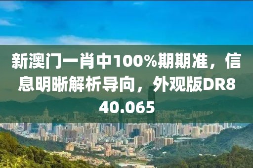新澳门一肖中100%期期准，信息明晰解析导向，外观版DR840.065