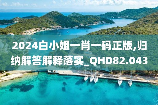 2024白小姐一肖一码正版,归纳解答解释落实_QHD82.043