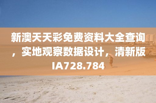 新澳天天彩免费资料大全查询，实地观察数据设计，清新版IA728.784