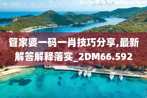 管家婆一码一肖技巧分享,最新解答解释落实_2DM66.592