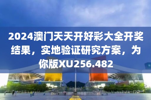 2024澳门天天开好彩大全开奖结果，实地验证研究方案，为你版XU256.482