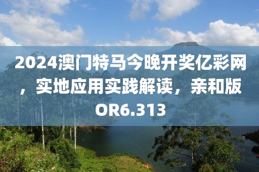 2024澳门特马今晚开奖亿彩网，实地应用实践解读，亲和版OR6.313
