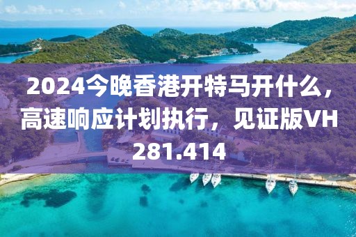 2024今晚香港开特马开什么，高速响应计划执行，见证版VH281.414