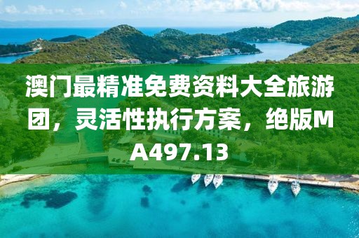 澳门最精准免费资料大全旅游团，灵活性执行方案，绝版MA497.13