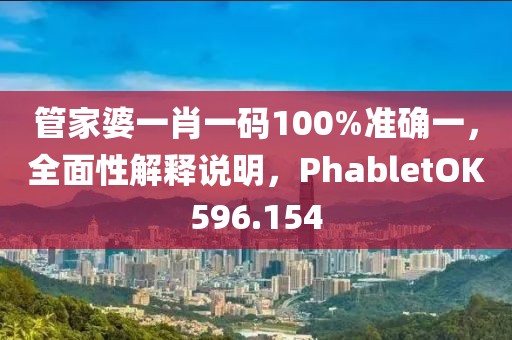 管家婆一肖一码100%准确一，全面性解释说明，PhabletOK596.154