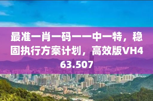 最准一肖一码一一中一特，稳固执行方案计划，高效版VH463.507