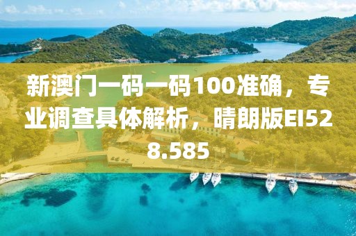 新澳门一码一码100准确，专业调查具体解析，晴朗版EI528.585