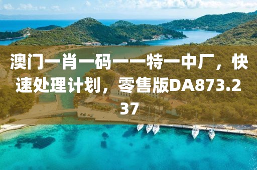 澳门一肖一码一一特一中厂，快速处理计划，零售版DA873.237