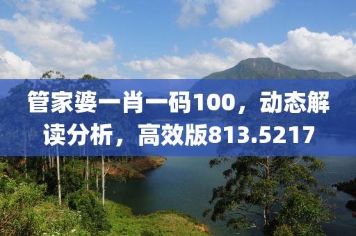 管家婆一肖一码100，动态解读分析，高效版813.5217