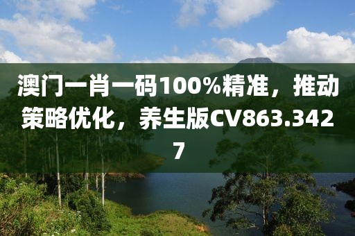 澳门一肖一码100%精准，推动策略优化，养生版CV863.3427