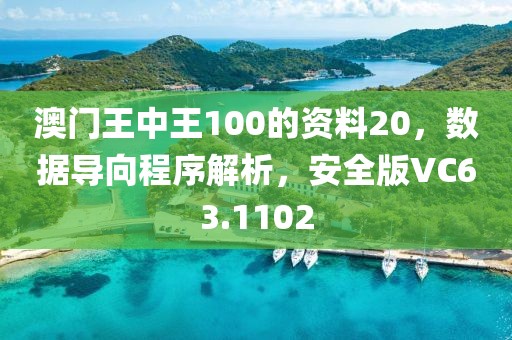 澳门王中王100的资料20，数据导向程序解析，安全版VC63.1102
