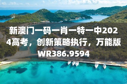 新澳门一码一肖一特一中2024高考，创新策略执行，万能版WR386.9594