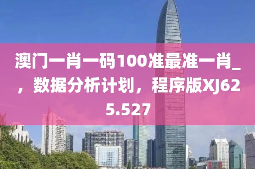 澳门一肖一码100准最准一肖_，数据分析计划，程序版XJ625.527