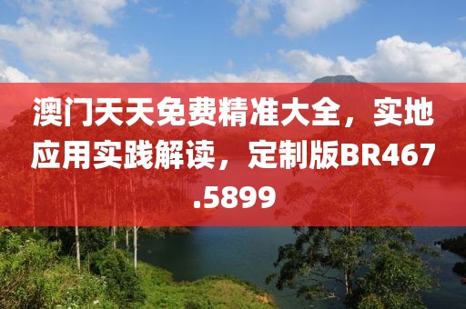 澳门天天免费精准大全，实地应用实践解读，定制版BR467.5899