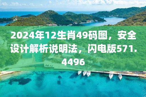 2024年12生肖49码图，安全设计解析说明法，闪电版571.4496