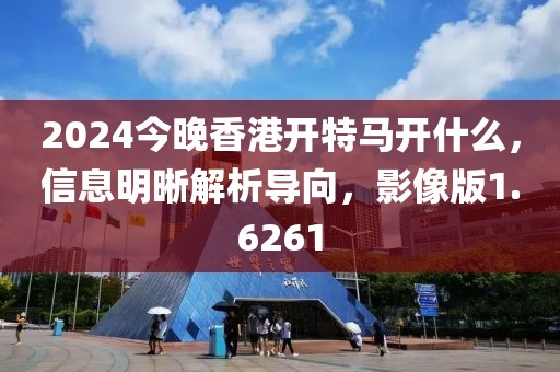 2024今晚香港开特马开什么，信息明晰解析导向，影像版1.6261