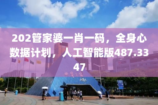 202管家婆一肖一码，全身心数据计划，人工智能版487.3347