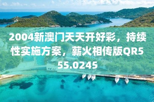2004新澳门天天开好彩，持续性实施方案，薪火相传版QR555.0245