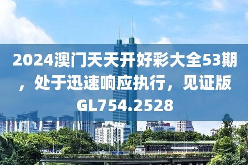 2024澳门天天开好彩大全53期，处于迅速响应执行，见证版GL754.2528