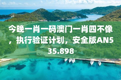今晚一肖一码澳门一肖四不像，执行验证计划，安全版AN535.898