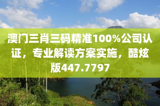 澳门三肖三码精准100%公司认证，专业解读方案实施，酷炫版447.7797