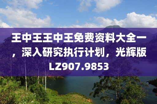 王中王王中王免费资料大全一，深入研究执行计划，光辉版LZ907.9853