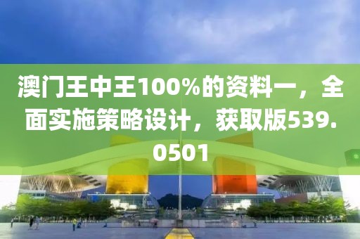 澳门王中王100%的资料一，全面实施策略设计，获取版539.0501