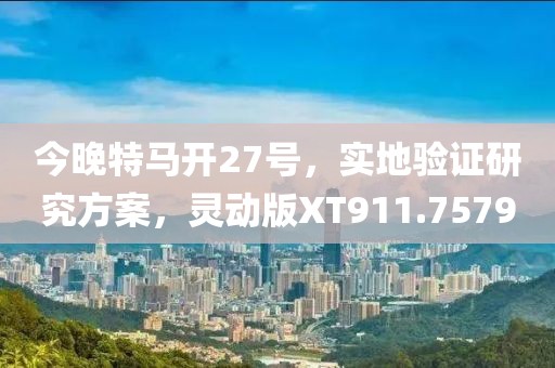 今晚特马开27号，实地验证研究方案，灵动版XT911.7579