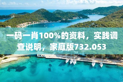 一码一肖100%的资料，实践调查说明，家庭版732.053