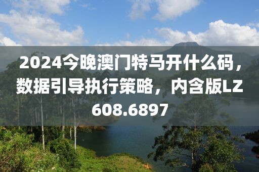 2024今晚澳门特马开什么码，数据引导执行策略，内含版LZ608.6897