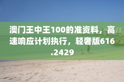 澳门王中王100的准资料，高速响应计划执行，轻奢版616.2429