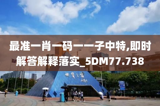 最准一肖一码一一子中特,即时解答解释落实_5DM77.738