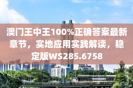 澳门王中王100%正确答案最新章节，实地应用实践解读，稳定版WS285.6758