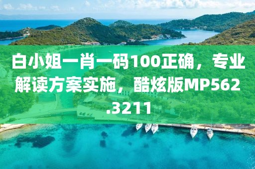 白小姐一肖一码100正确，专业解读方案实施，酷炫版MP562.3211