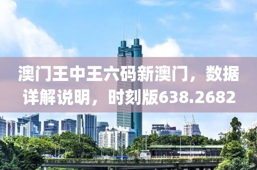 澳门王中王六码新澳门，数据详解说明，时刻版638.2682