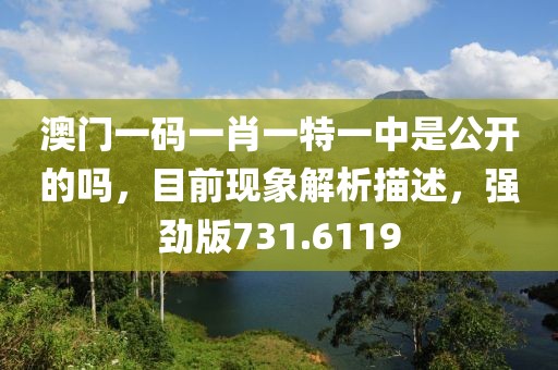 澳门一码一肖一特一中是公开的吗，目前现象解析描述，强劲版731.6119