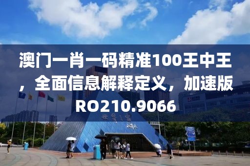 澳门一肖一码精准100王中王，全面信息解释定义，加速版RO210.9066