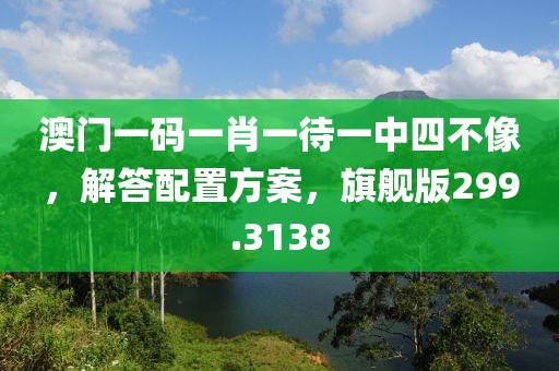 澳门一码一肖一待一中四不像，解答配置方案，旗舰版299.3138