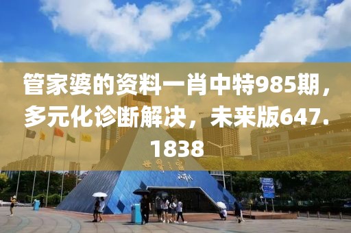 管家婆的资料一肖中特985期，多元化诊断解决，未来版647.1838
