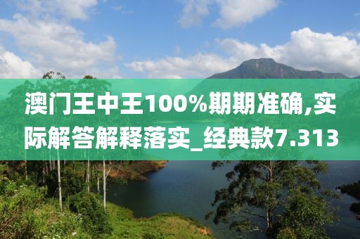 澳门王中王100%期期准确,实际解答解释落实_经典款7.313