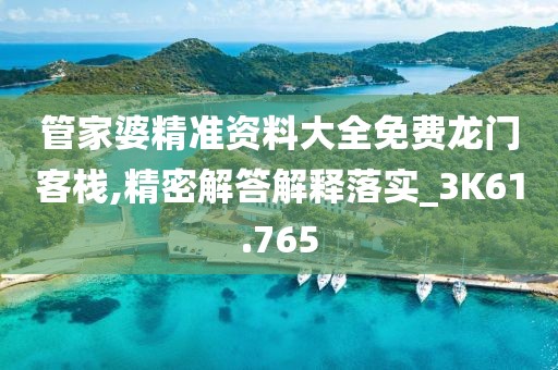 管家婆精准资料大全免费龙门客栈,精密解答解释落实_3K61.765