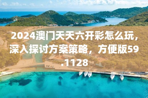 2024澳门天天六开彩怎么玩，深入探讨方案策略，方便版59.1128
