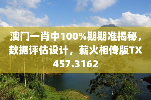 澳门一肖中100%期期准揭秘，数据评估设计，薪火相传版TX457.3162